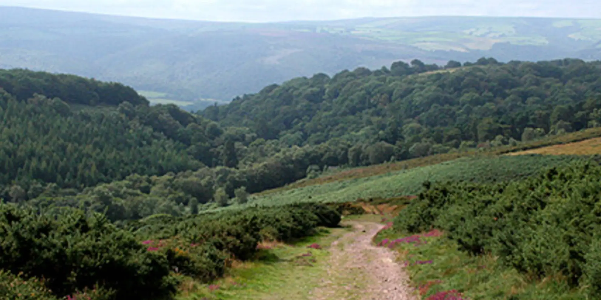 An image depicting the trail Selworthy Beacon Walk and its surrounding area.