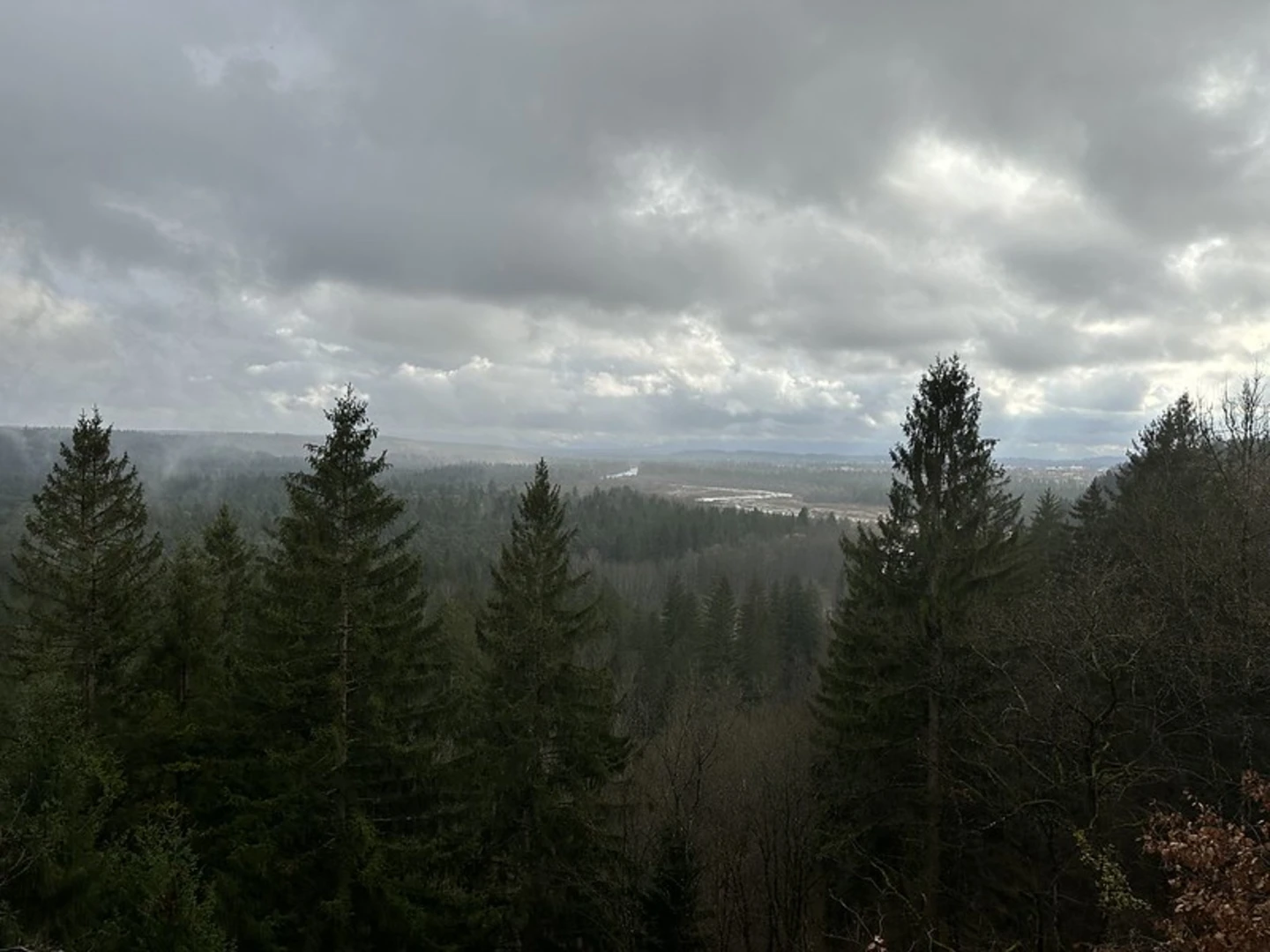 An image depicting the trail Icking via Zeller Weg and its surrounding area.