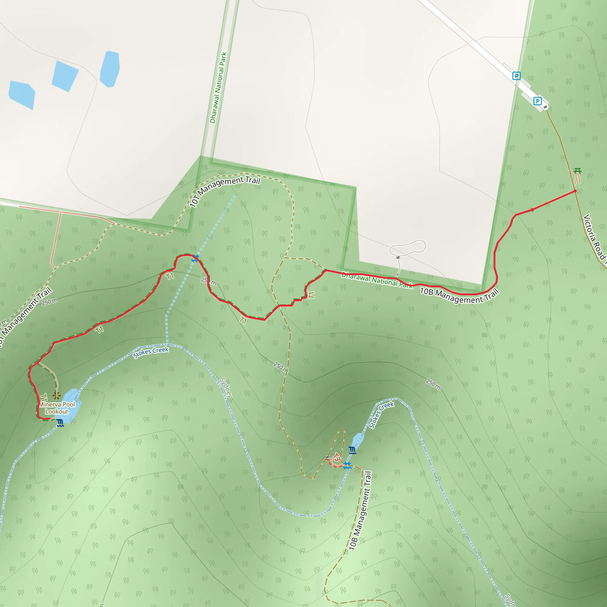 Minerva Pool Track mobile static map