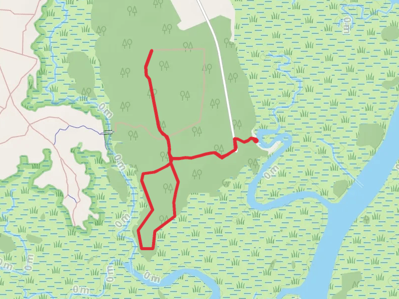 Timucuan Trail System Out and Back