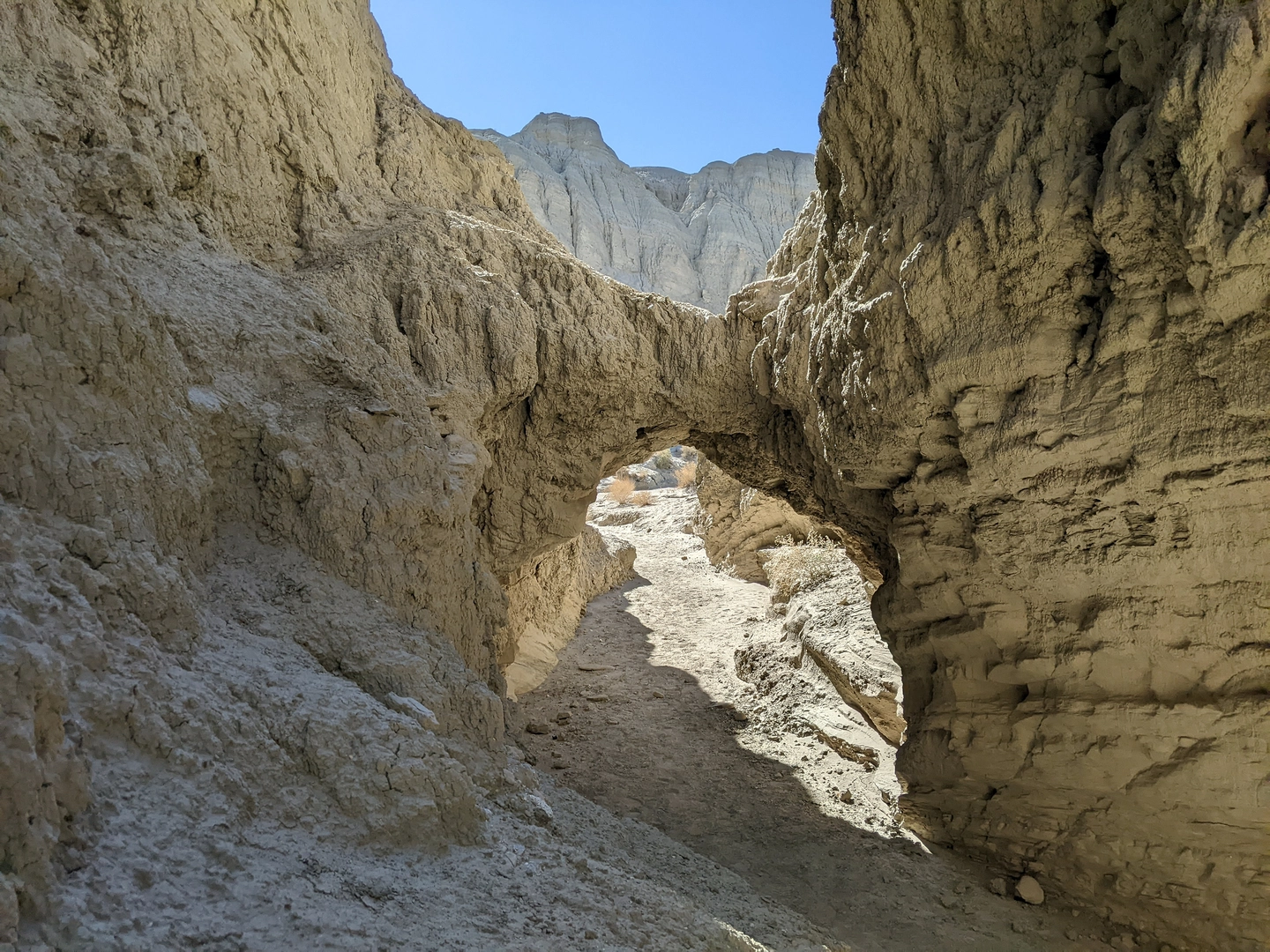 An image depicting the trail Pelvis Peak and West Mesa via Fish Creek Wash and its surrounding area.