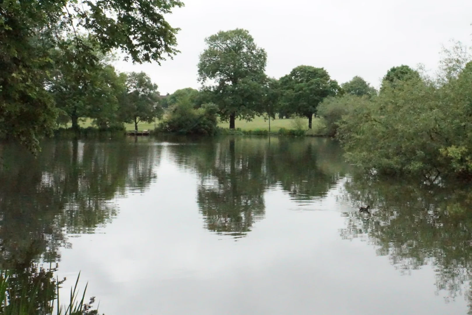 An image depicting the trail Pittville Park Loop and its surrounding area.