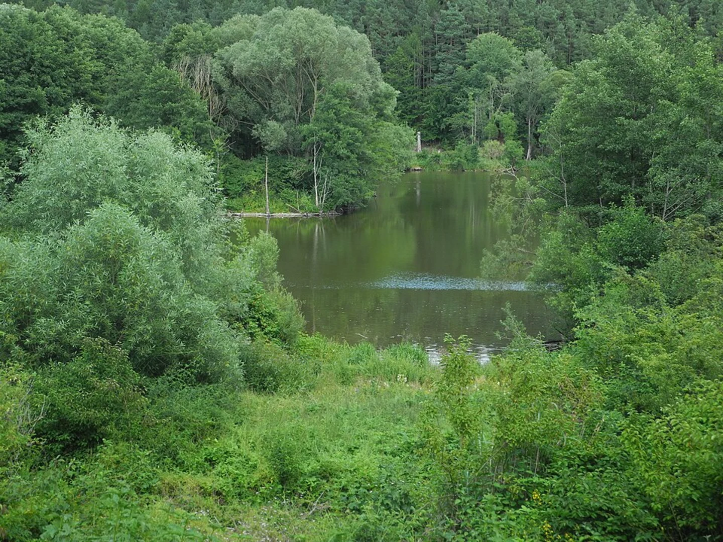 An image depicting the trail Haunestausee via Petersberg and its surrounding area.