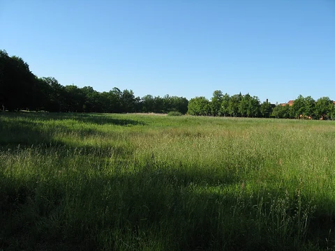De Reuze to Kasteel De Kelder via Wrangebult and Hessenweg