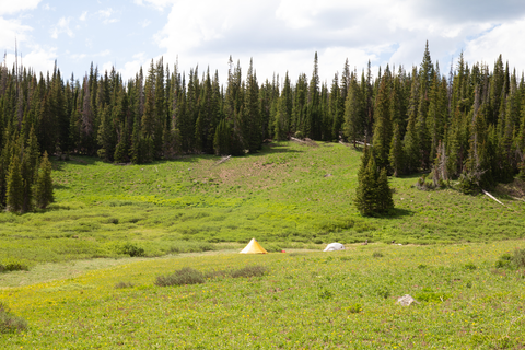 An image depicting the trail Big Fish Trail and its surrounding area.