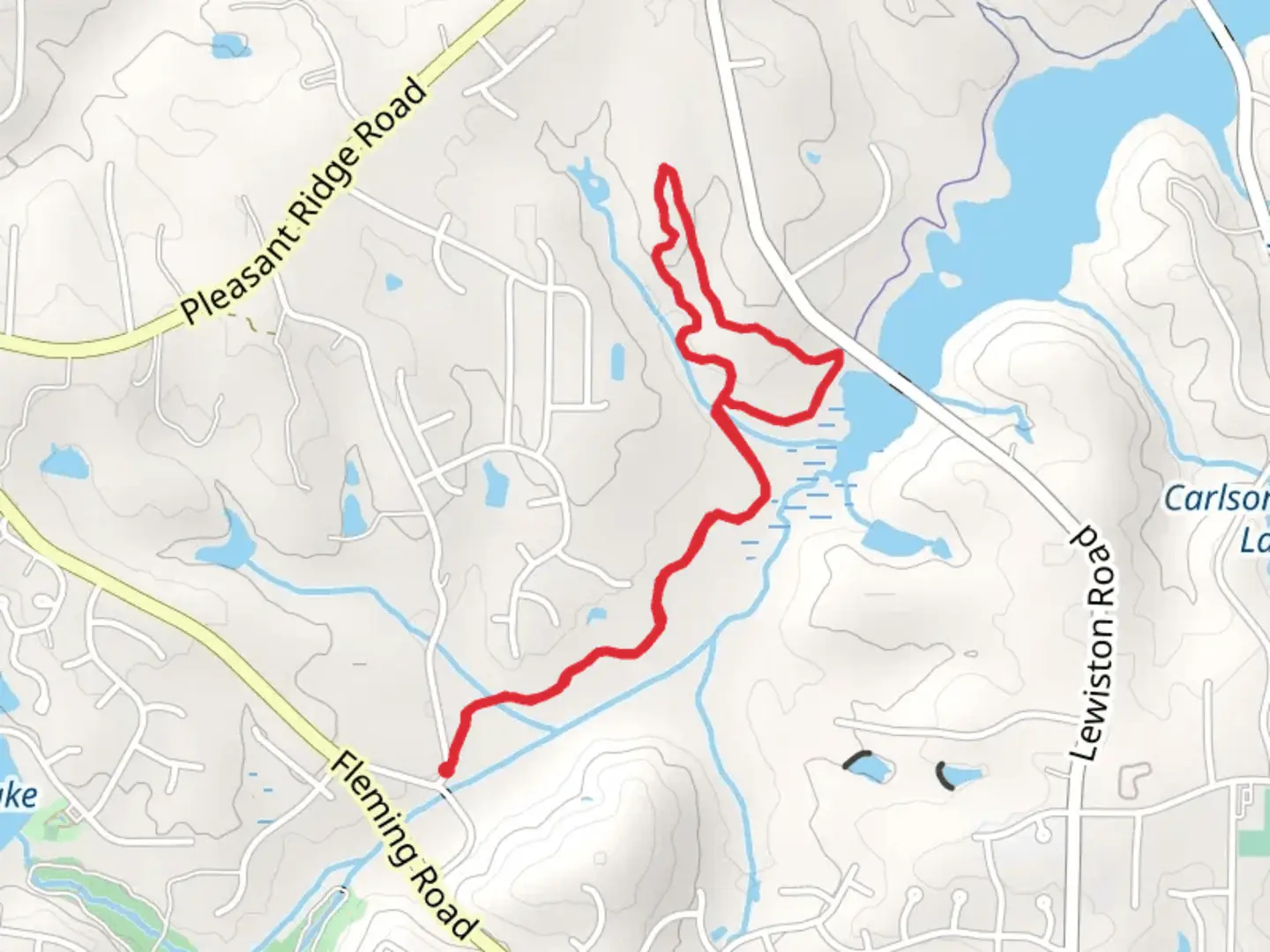 An image depicting the trail Bald Eagle Loop Trail and its surrounding area.