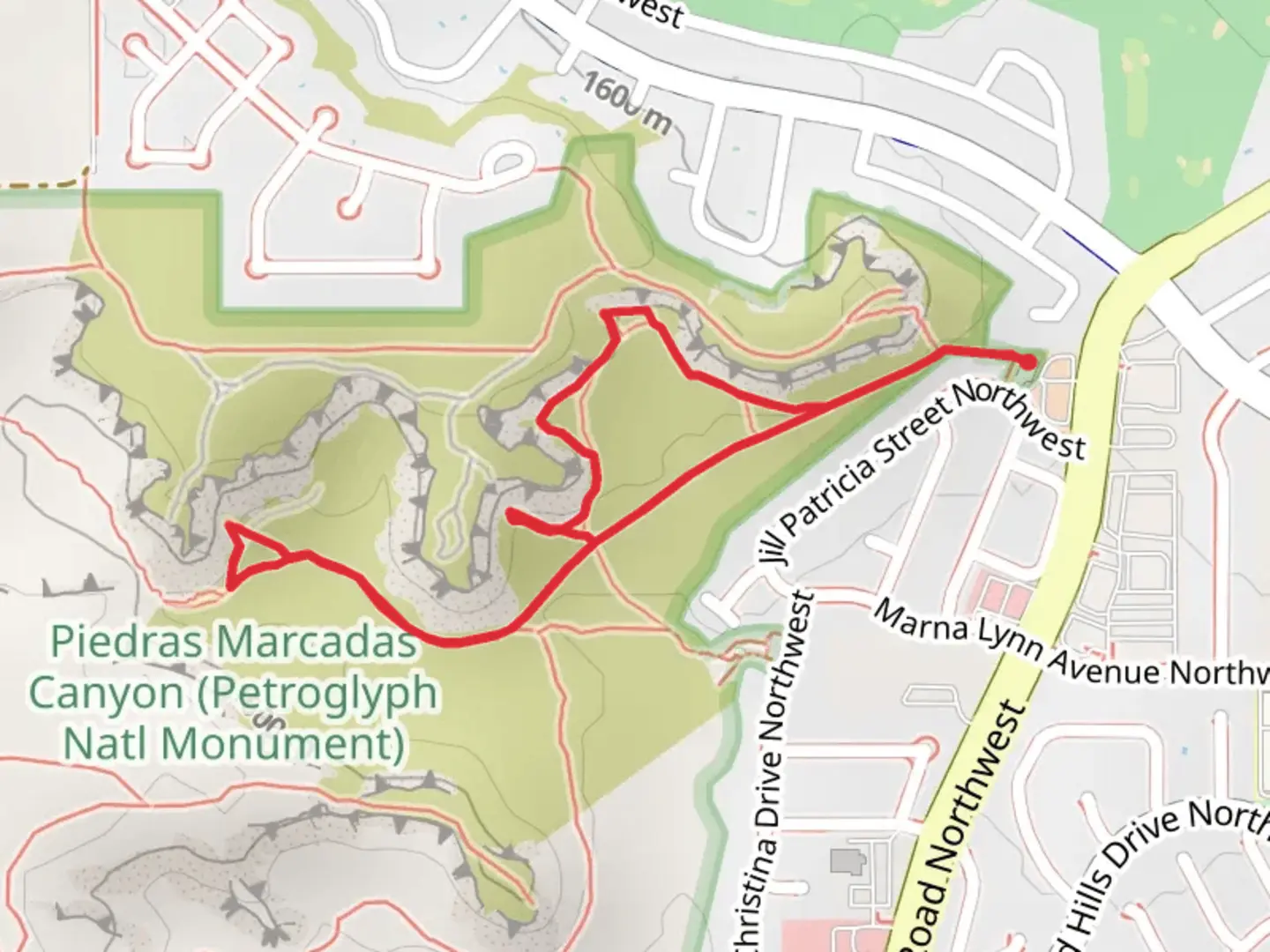 An image depicting the trail Piedras Marcadas Trail Loop and its surrounding area.