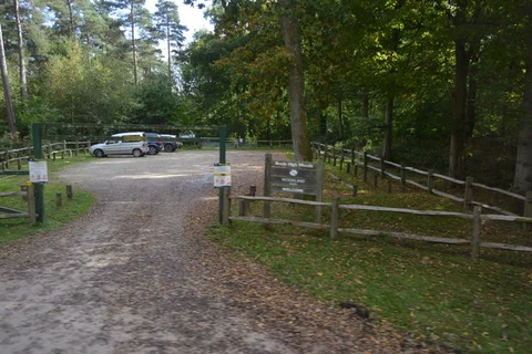 Powdermill Reservoir and Brede High Wood Loop