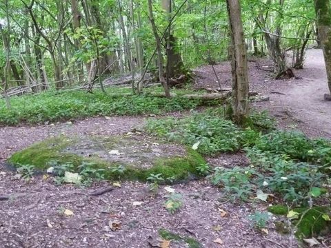 Yha Truleigh Hill Walk