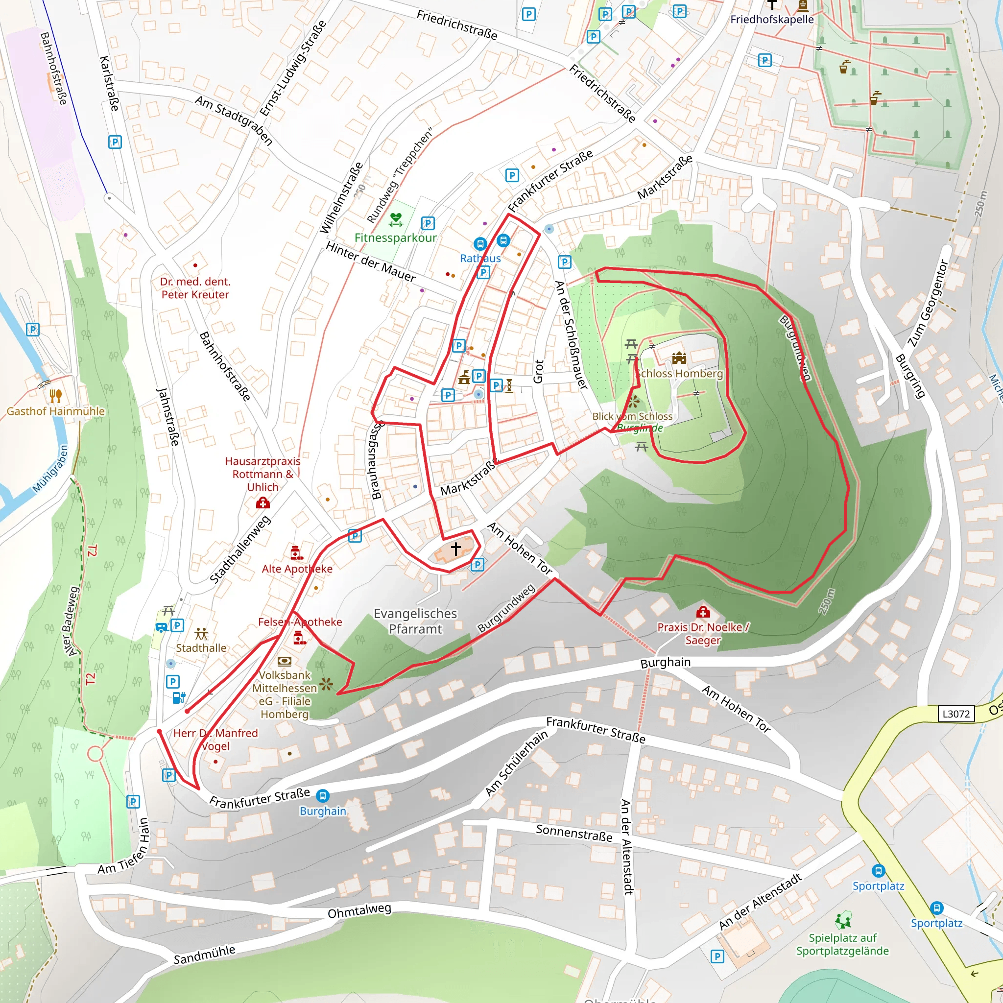 Naturdenkmal Hohler Baum via Burgrundweg mobile static map
