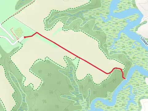 Lower Chippokes Creek Trail