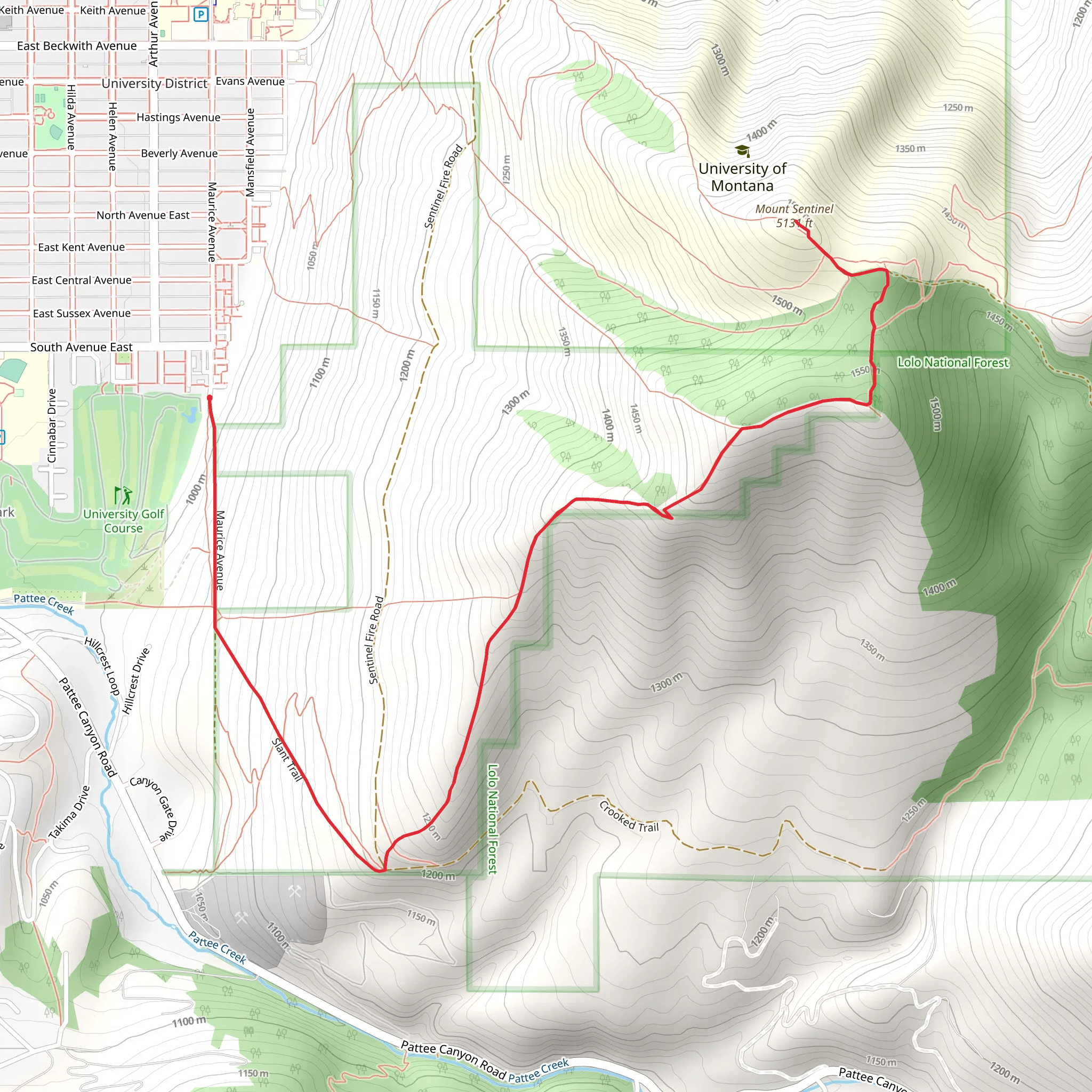 Mount Sentinel from Maurice Avenue mobile static map