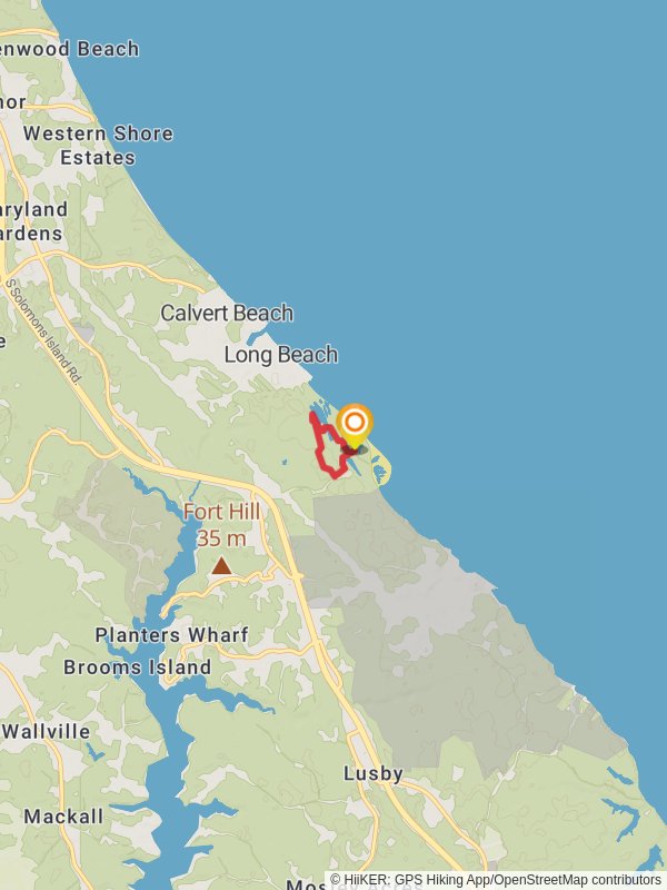 Flag Pond - North Ridge Loop Trail