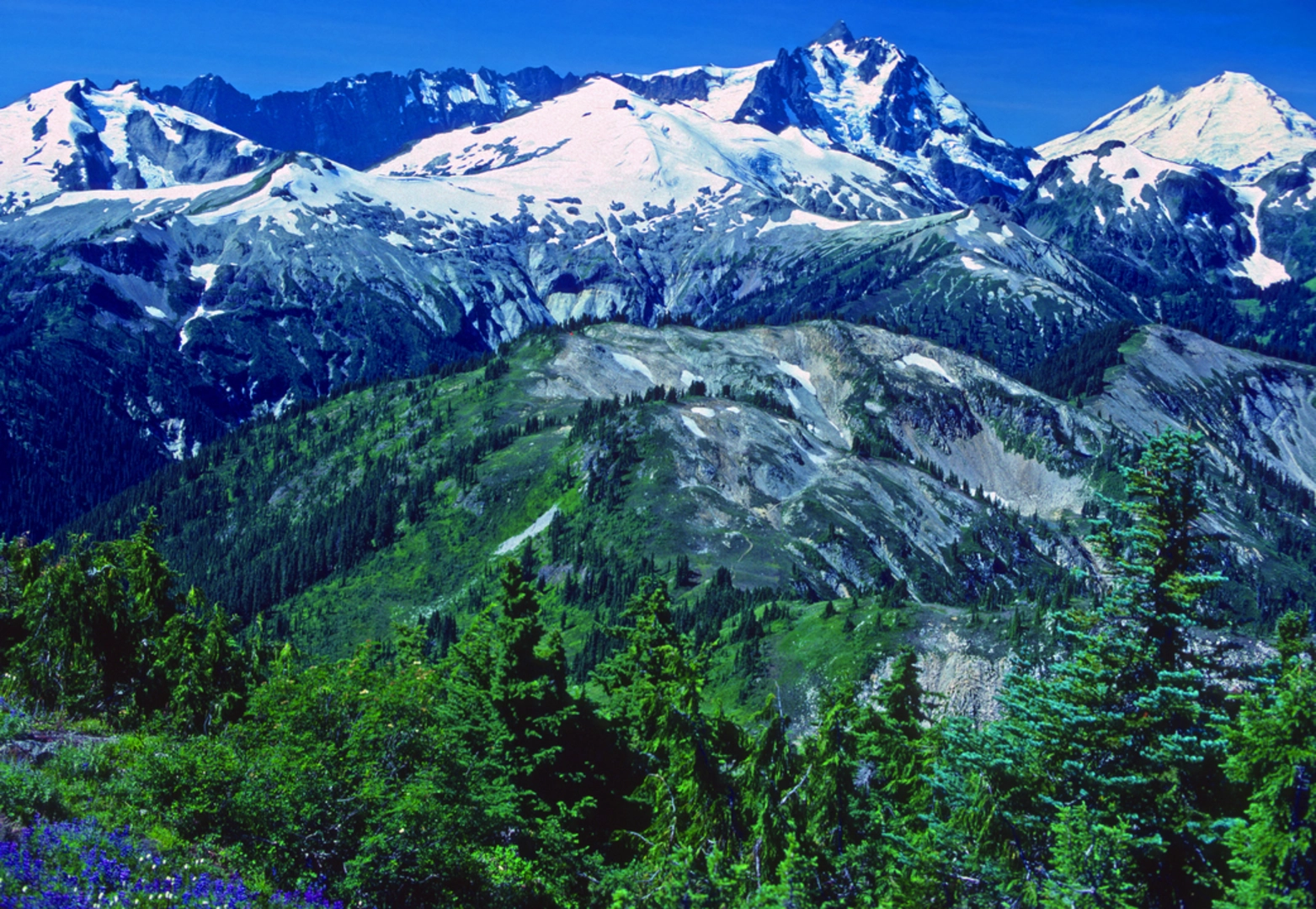 An image depicting the trail Copper Basin Trail and its surrounding area.