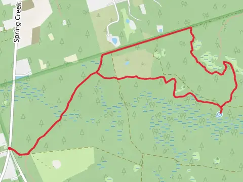 Florida Loop Trail from Spring Creek Highway