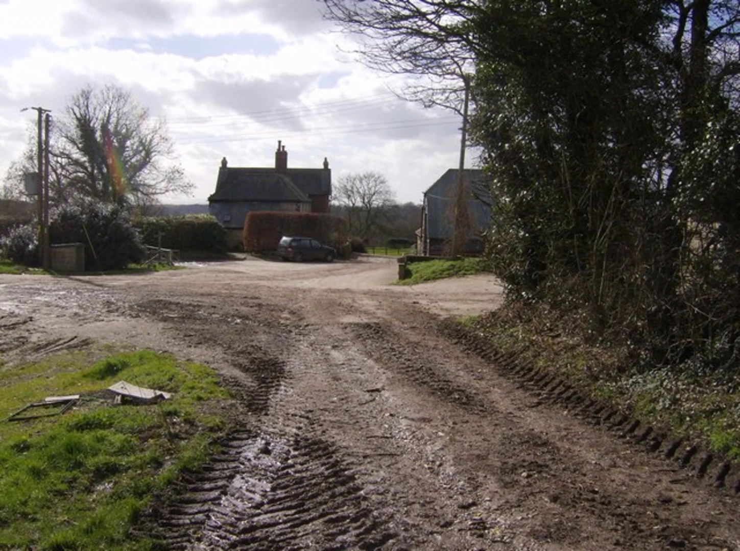 An image depicting the trail Markwells Wood and Compton Loop and its surrounding area.
