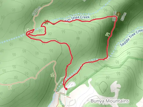 Scenic Circuit Track
