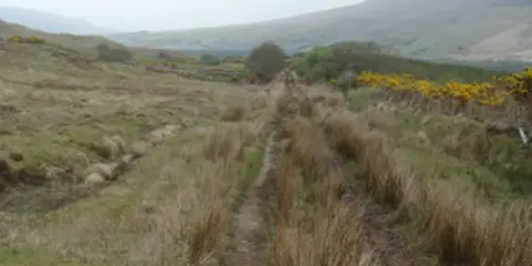 An image depicting the trail Keenagh Loop and its surrounding area.