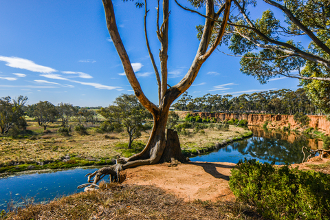 An image depicting the trail Riverbend Park to Davis Creek - Tarneit Walk and its surrounding area.
