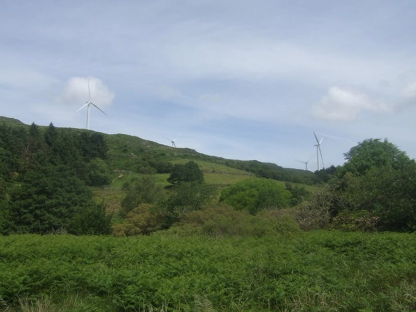 An image depicting the trail Coomagearlahy and An Cnoc Bui Loop and its surrounding area.