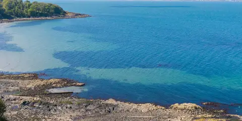 An image depicting the trail North Down Coastal Path and its surrounding area.