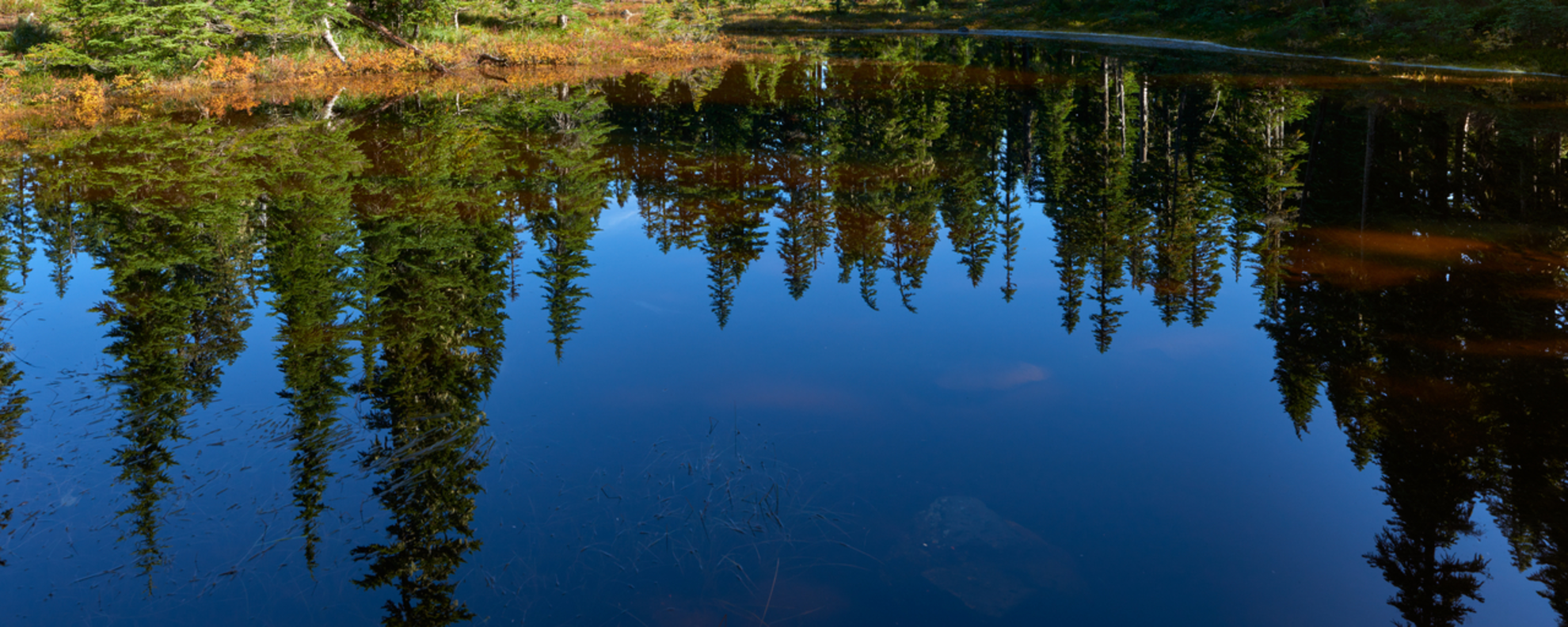An image depicting the trail Lemei Trail to Junction Lake and its surrounding area.
