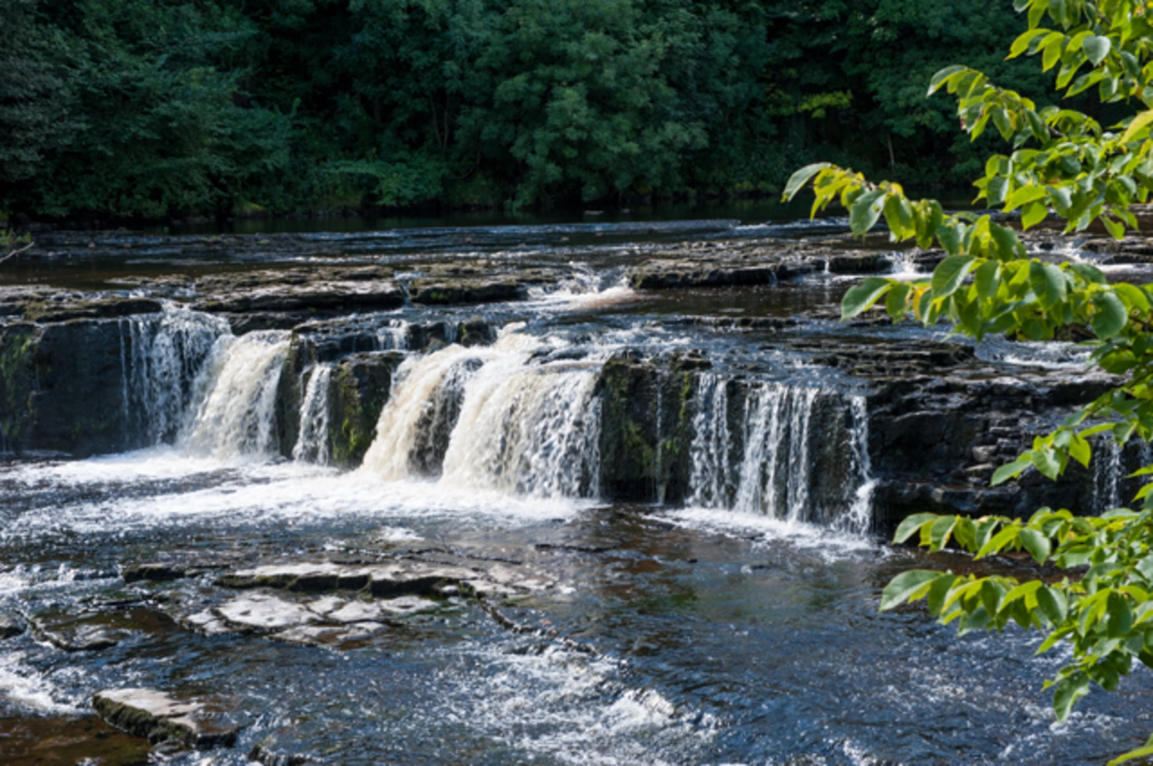 An image depicting the trail West Witton, West Burton and Aysgarth Falls Loop and its surrounding area.