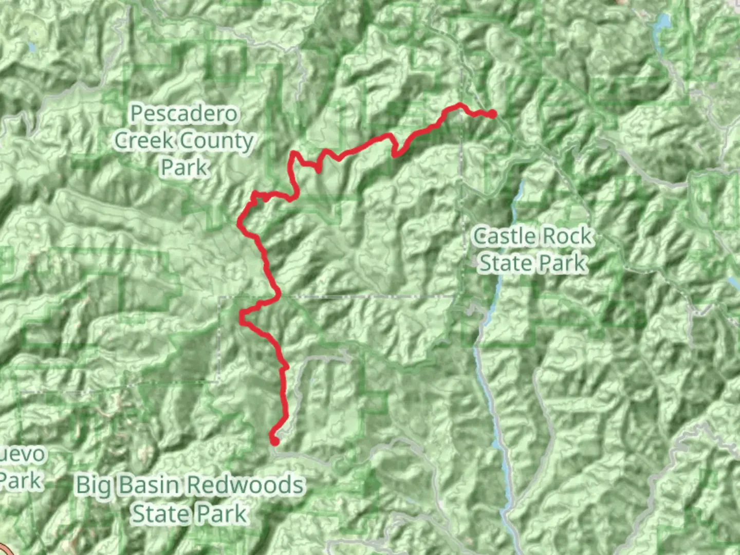An image depicting the trail Skyline to Big Basin and its surrounding area.