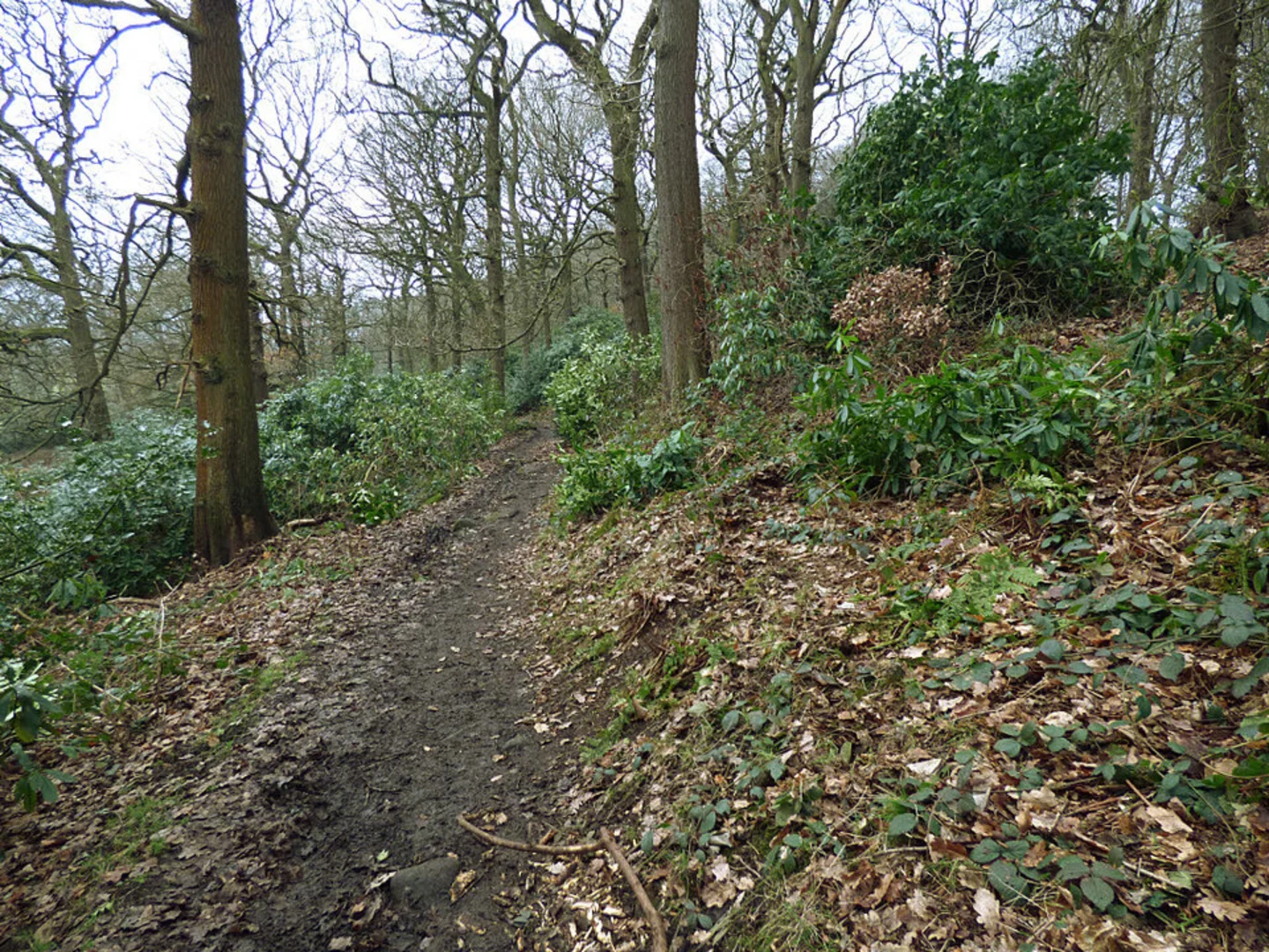 An image depicting the trail Bingley St Ives Loop and its surrounding area.