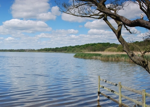 An image depicting the trail Aqualate Mere Walk and its surrounding area.