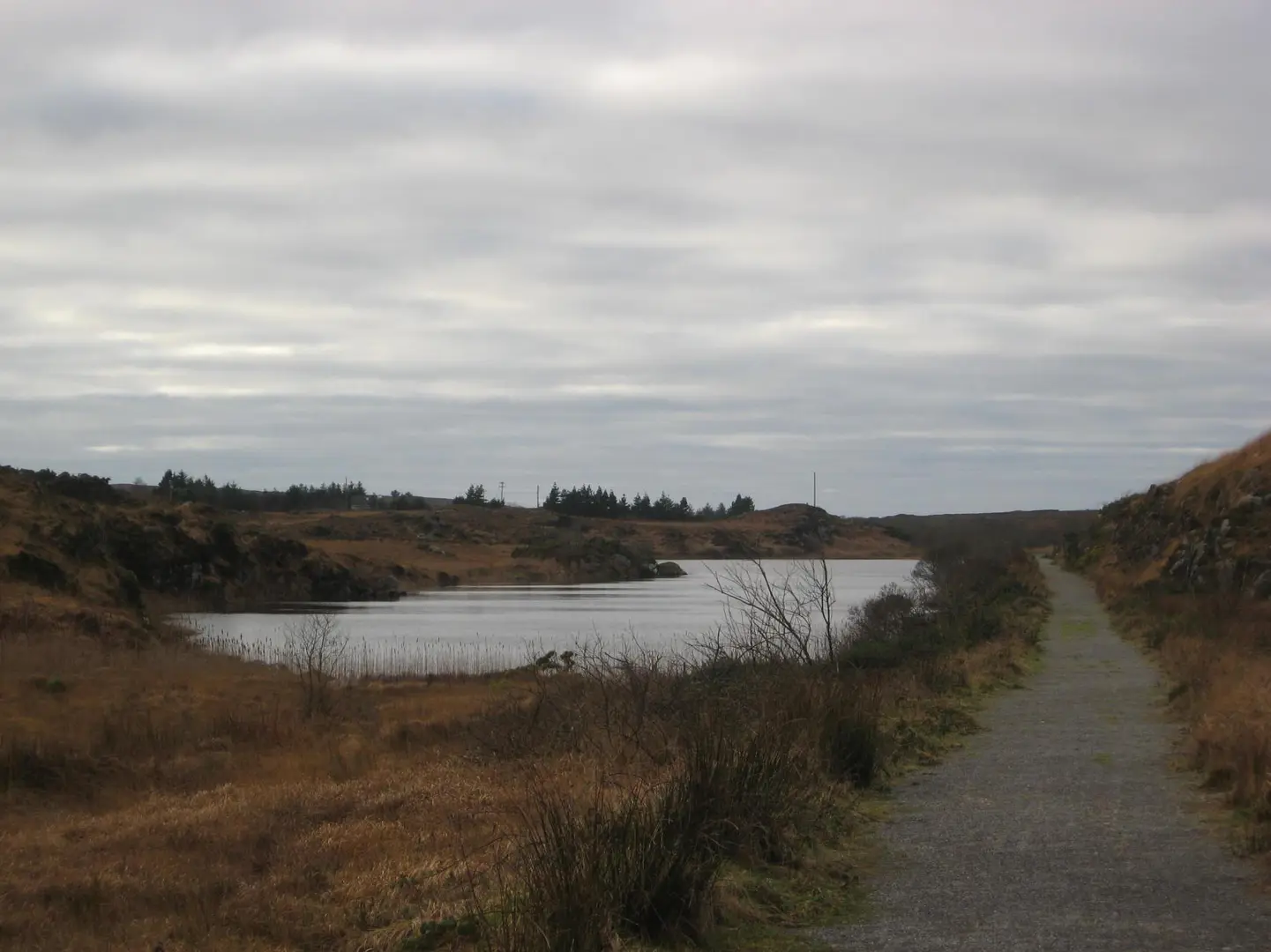 An image depicting the trail Loch Chonaill Railway Walk and its surrounding area.