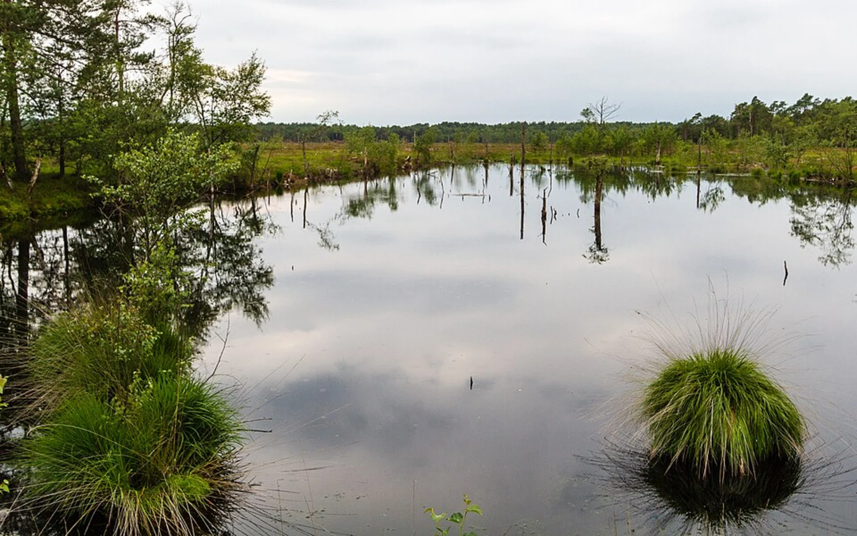 An image depicting the trail Moorrundweg Pietzmoor Loop and its surrounding area.