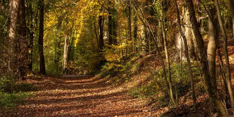 An image depicting the trail Foel Fenli and Moel Famau from Loggerheads and its surrounding area.