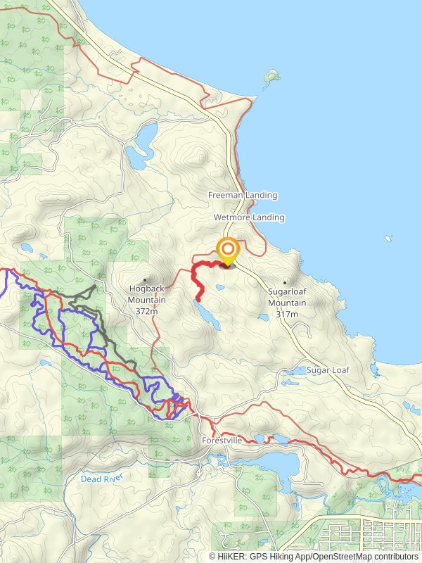 Wetmore Pond Overlook