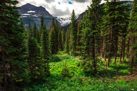 An image depicting the trail GTTS Road to Many Glacier via CDT and its surrounding area.