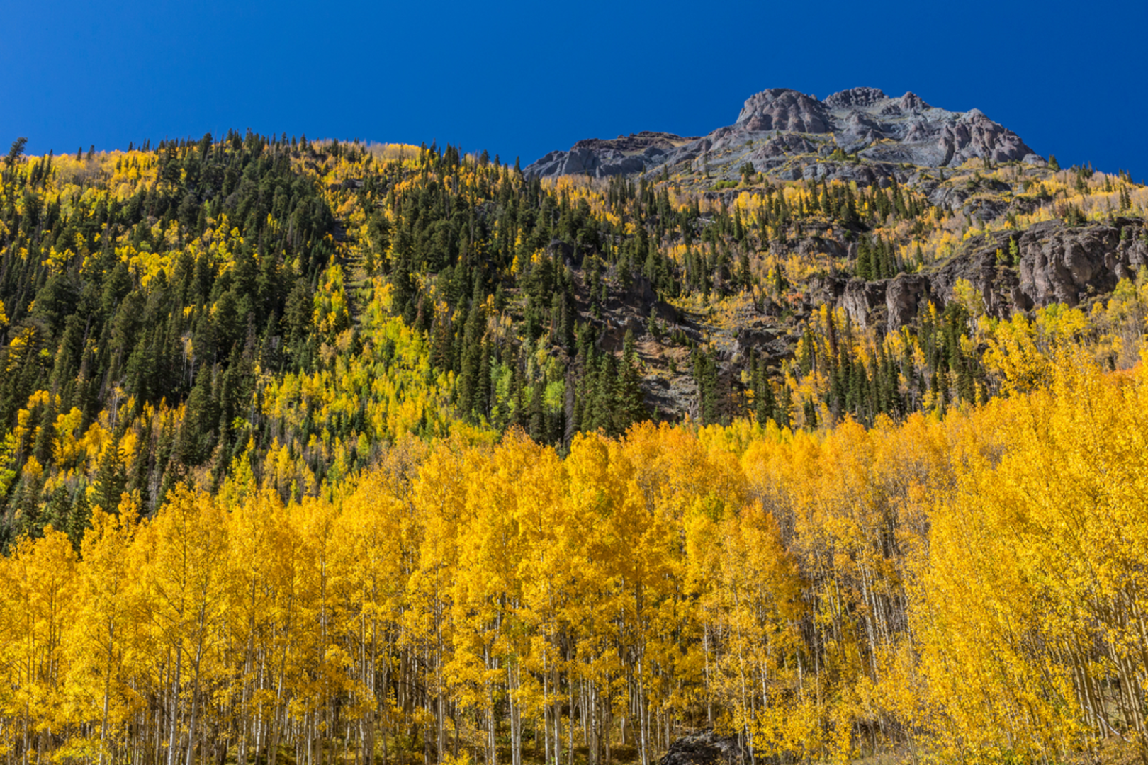 An image depicting the trail Richmond Basin Trail and its surrounding area.