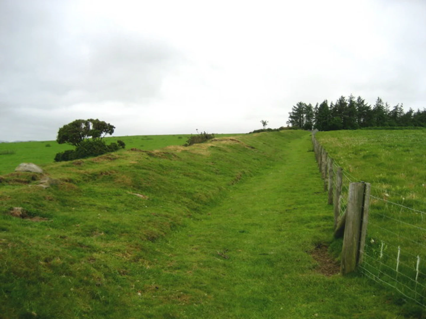 An image depicting the trail Kington Loop and its surrounding area.