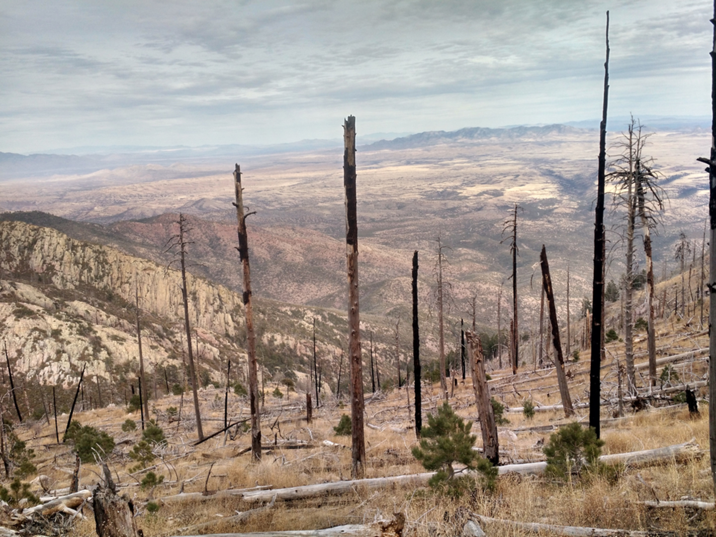An image depicting the trail Vault Mine Trail to Agua Caliente and its surrounding area.