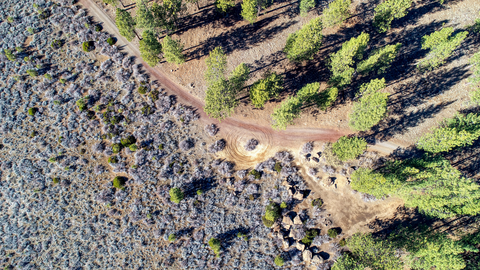 An image depicting the trail Phil's Trailhead Skills Loop Trail and its surrounding area.