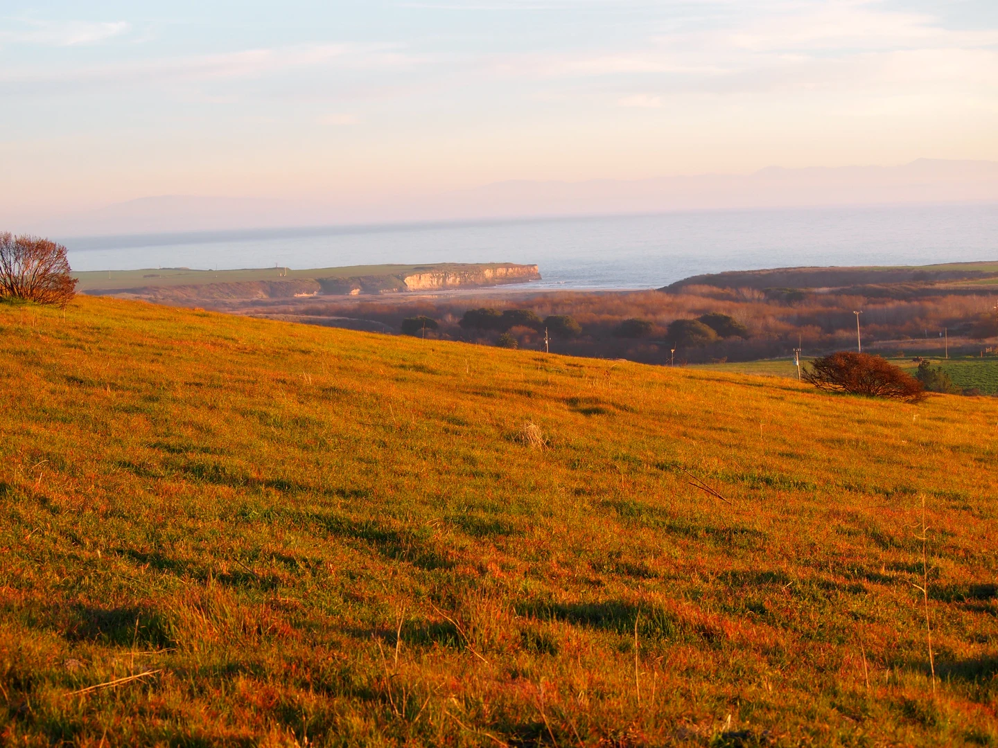 An image depicting the trail Engelsman, Eucalyptus and Wilder Ridge Loop and its surrounding area.