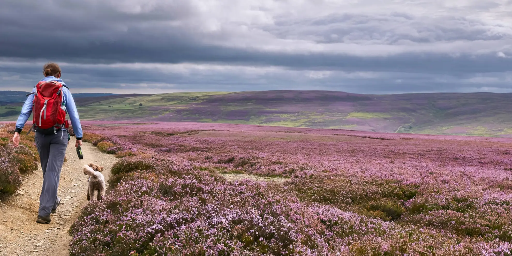 An image depicting the trail College Edge and Cuthbert's Currick from Edmundbyers and its surrounding area.