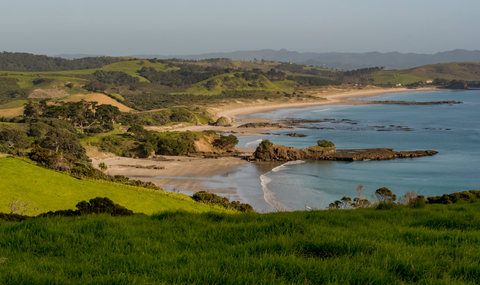 Tawharanui South Coast and North Coast Loop Track