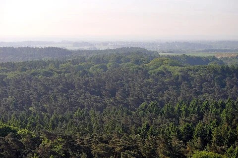 An image depicting the trail Saar Pfalz Weg and Waldlehrpfad Bremerhof Loop and its surrounding area.