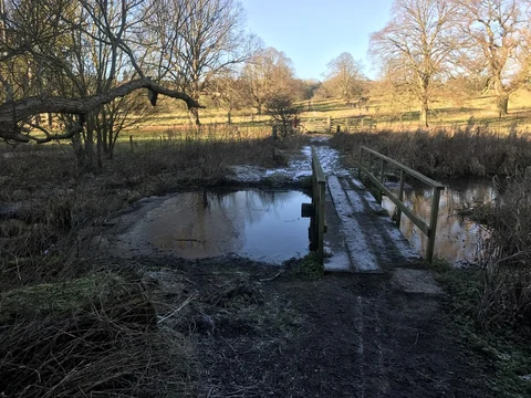 Thorn Clump Wood - Londesborough