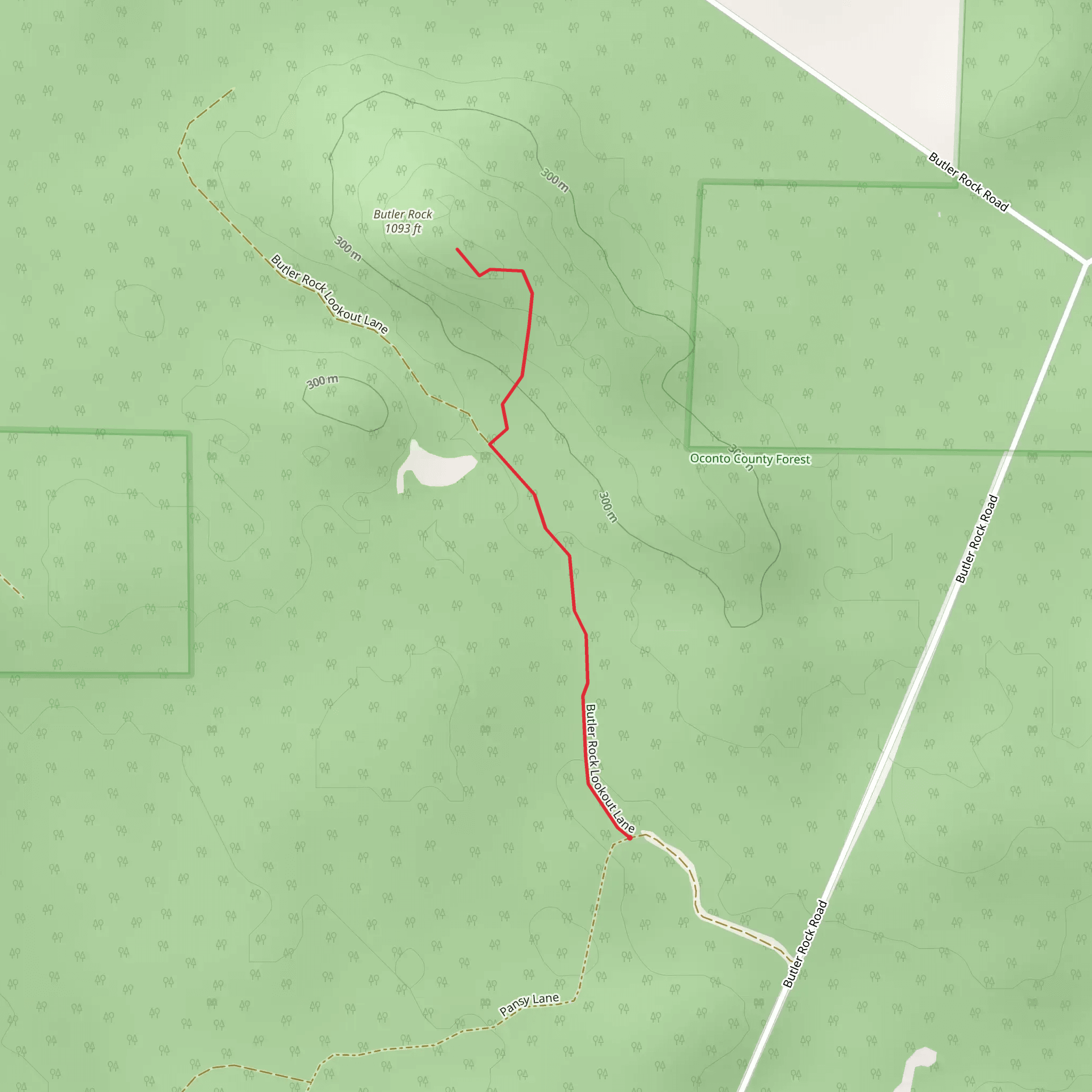 Butler Rock Lookout Lane mobile static map