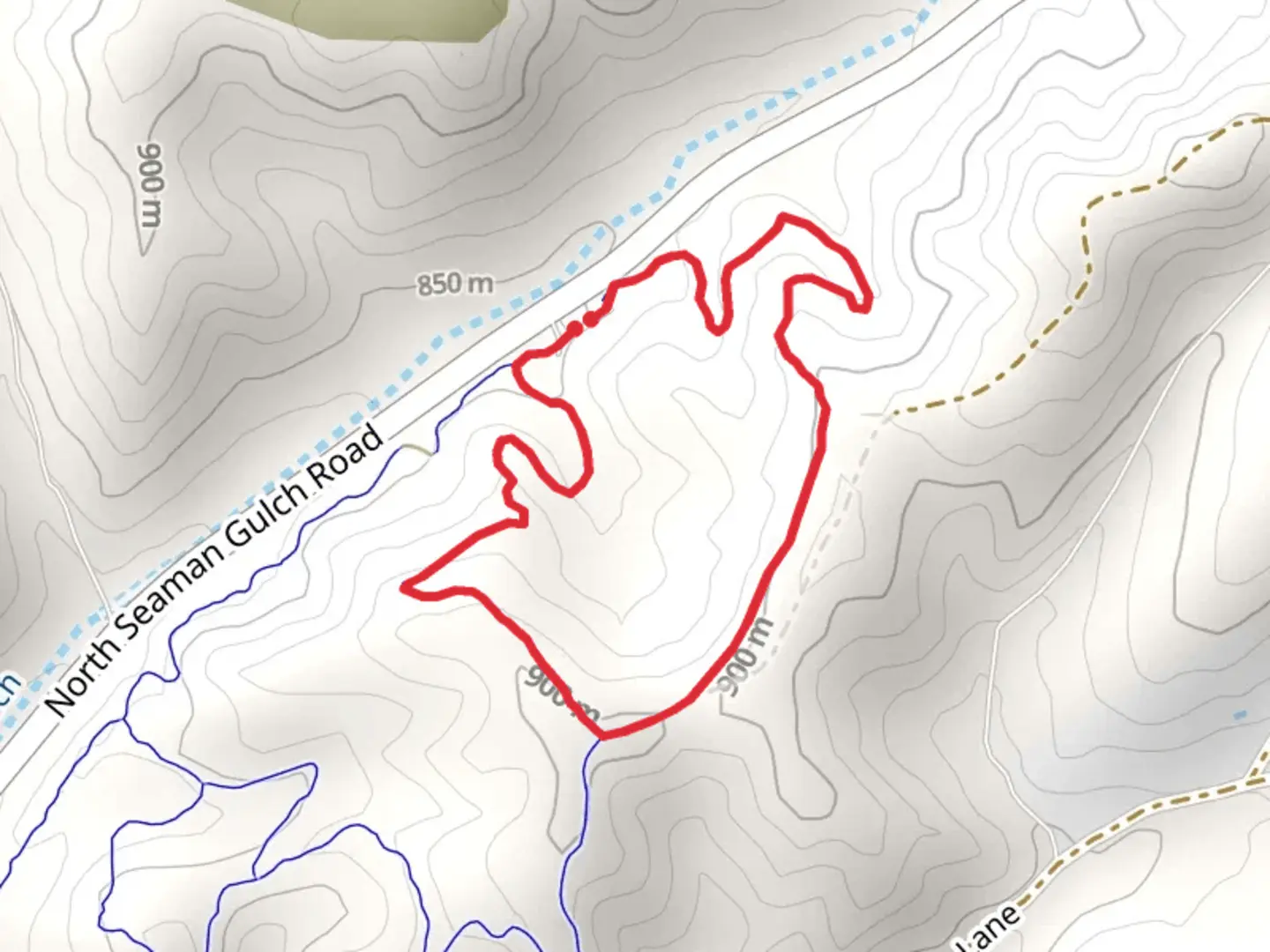 An image depicting the trail Wild Phlox and Seamans Gulch Loop Trail and its surrounding area.
