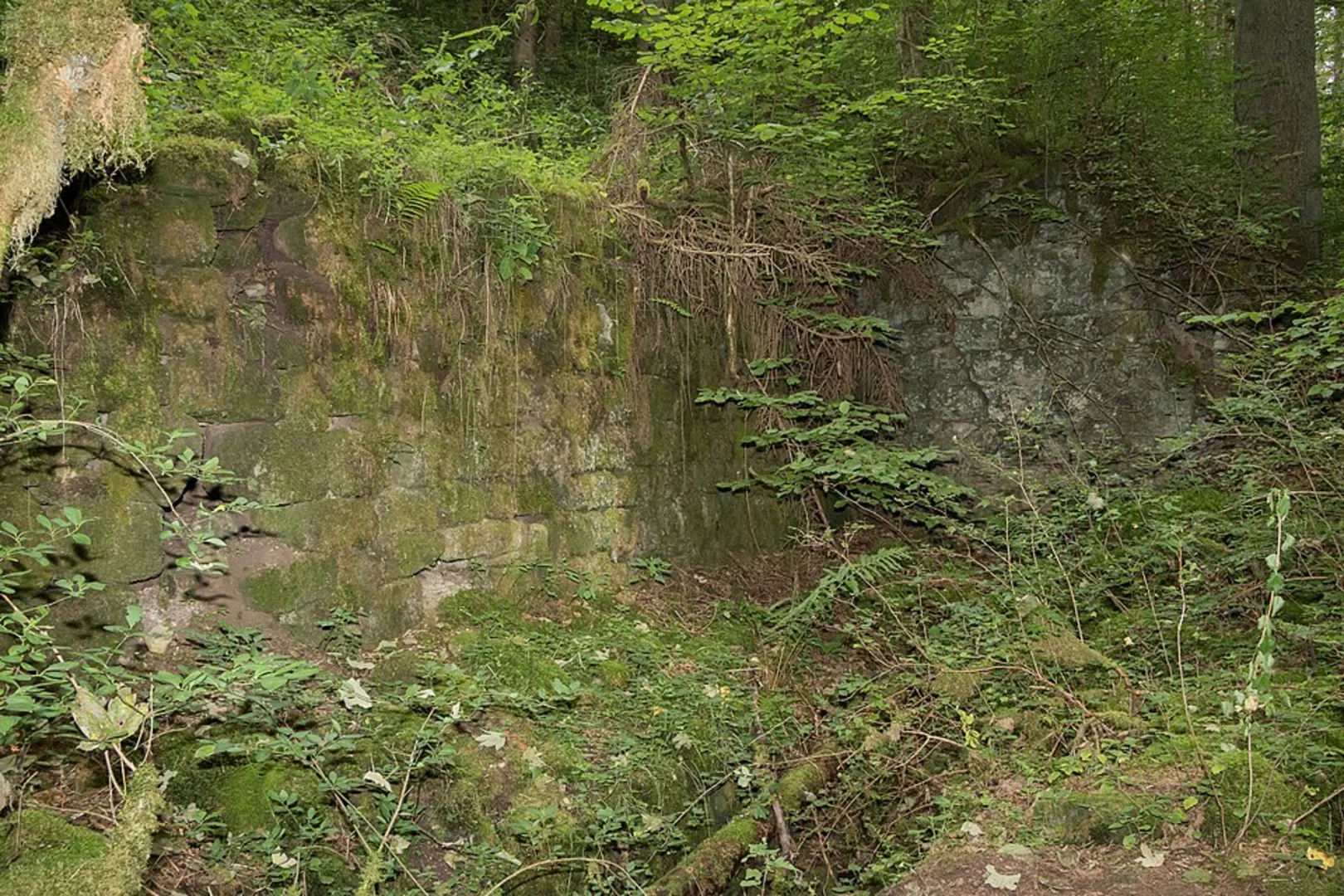 An image depicting the trail Lehnbach-Wasserfall Walk and its surrounding area.