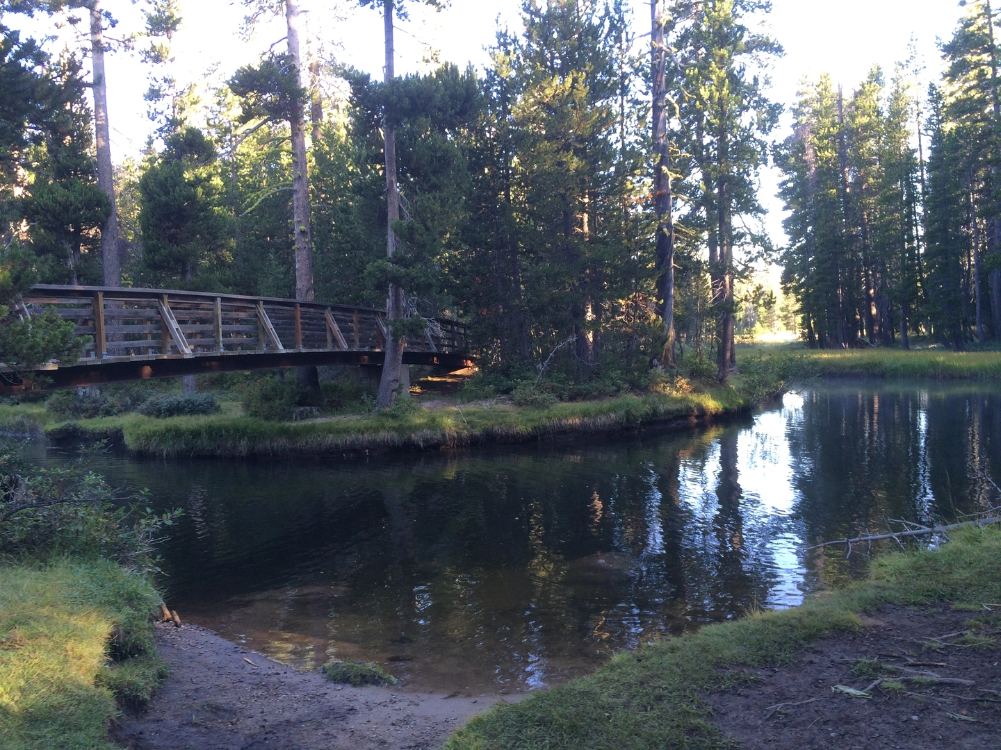 An image depicting the trail Jones Fork Silver Creek and Maud Lake and its surrounding area.