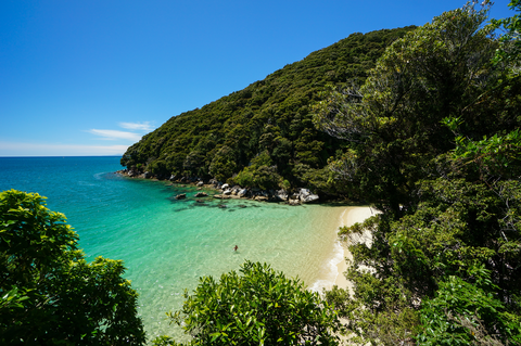 Abel Tasman Coast Track