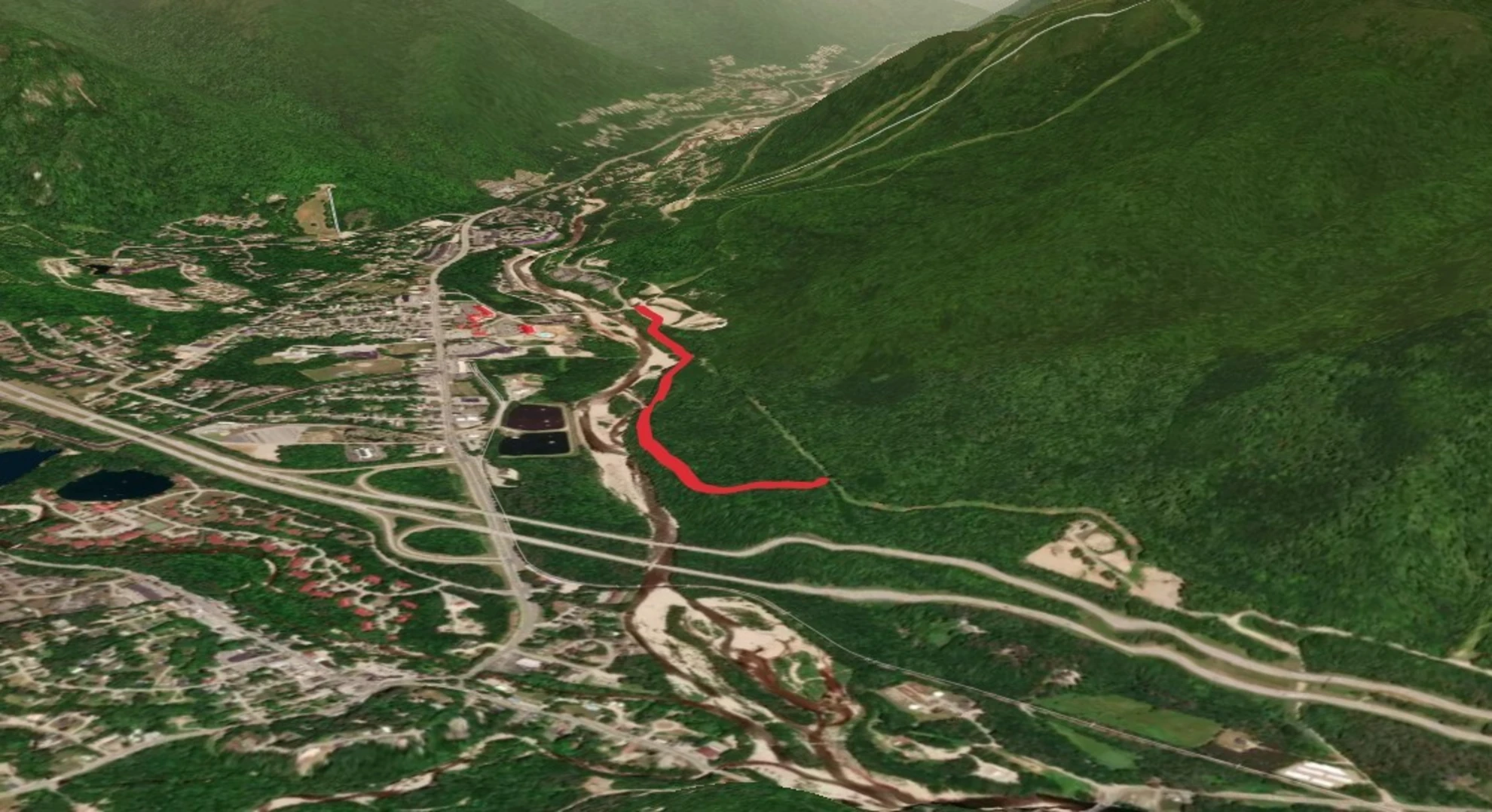 An image depicting the trail Walk along East Branch Pemigewasset River and its surrounding area.
